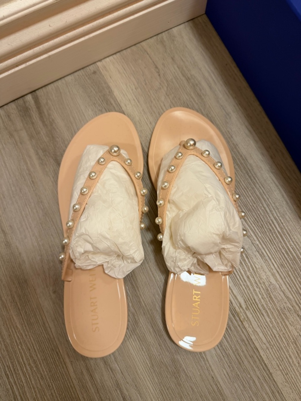 Stuart Weitzman Goldie Jelly Flip Flop